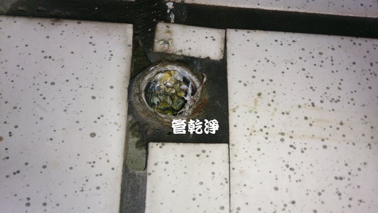 熱水忽冷忽熱,清洗水管,水管清洗,洗水管,水管清潔